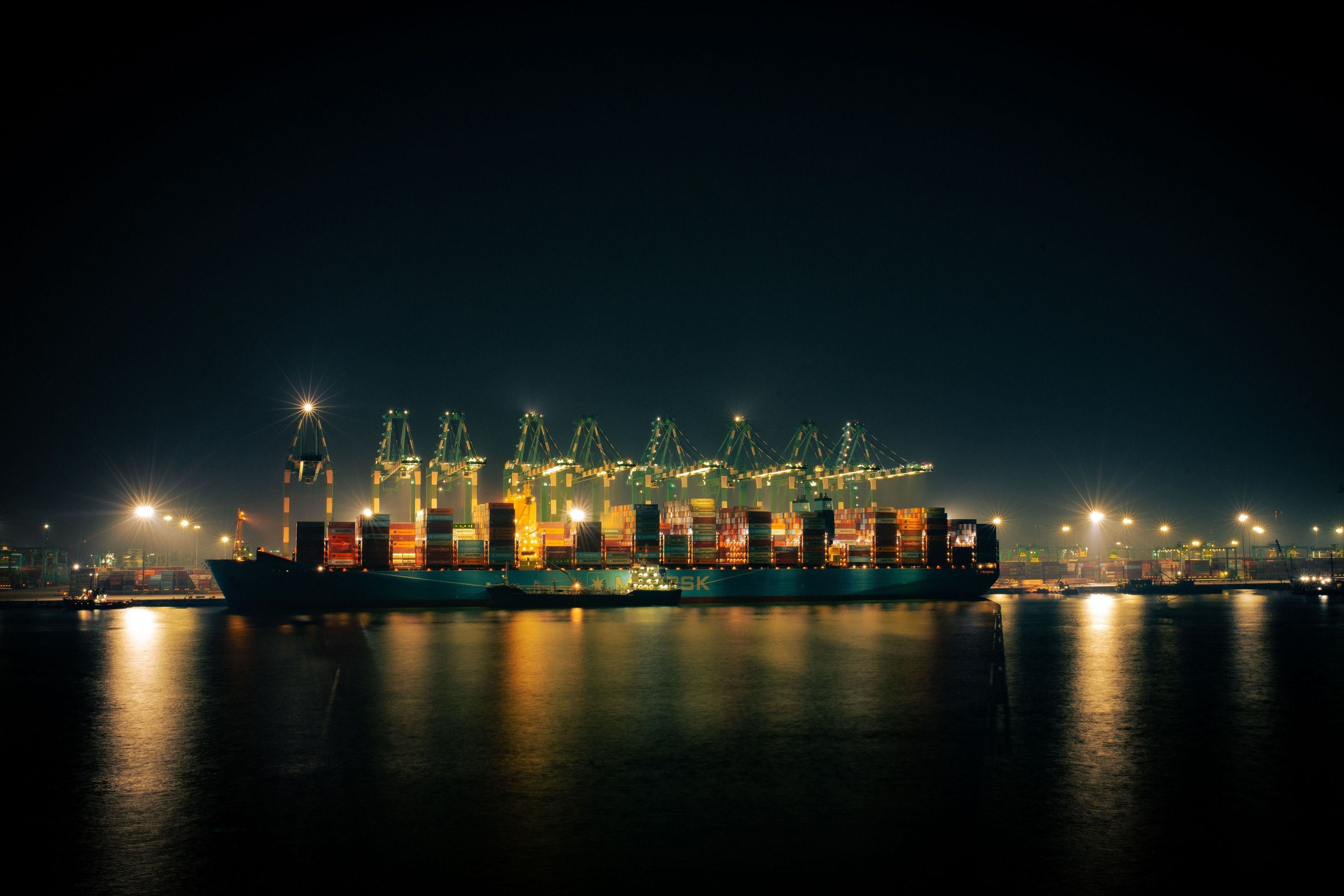 Ocean Freight Forwarding (FCL & LCL) imagen 3
